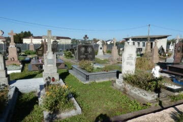 Відповідь:.