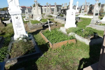 Меморіальні могили на цвинтарі в Буцьку, доглянуті та з квітами, історія та пам'ять про рідних.