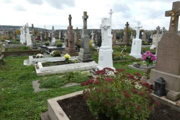 Могили на цвинтарі Буцаків, оздоблені пам’ятниками та квітами, у спокійному сільському оточенні, історичне кладовище України.