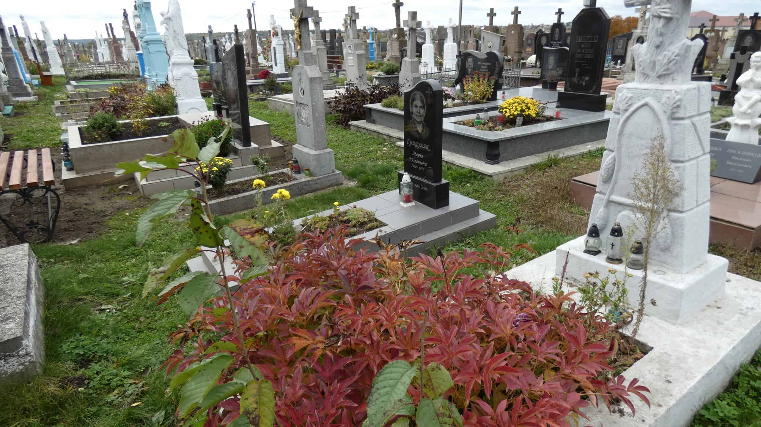 Меморіальні могили на цвинтарі в Бучачі з квітами та пам’ятниками.