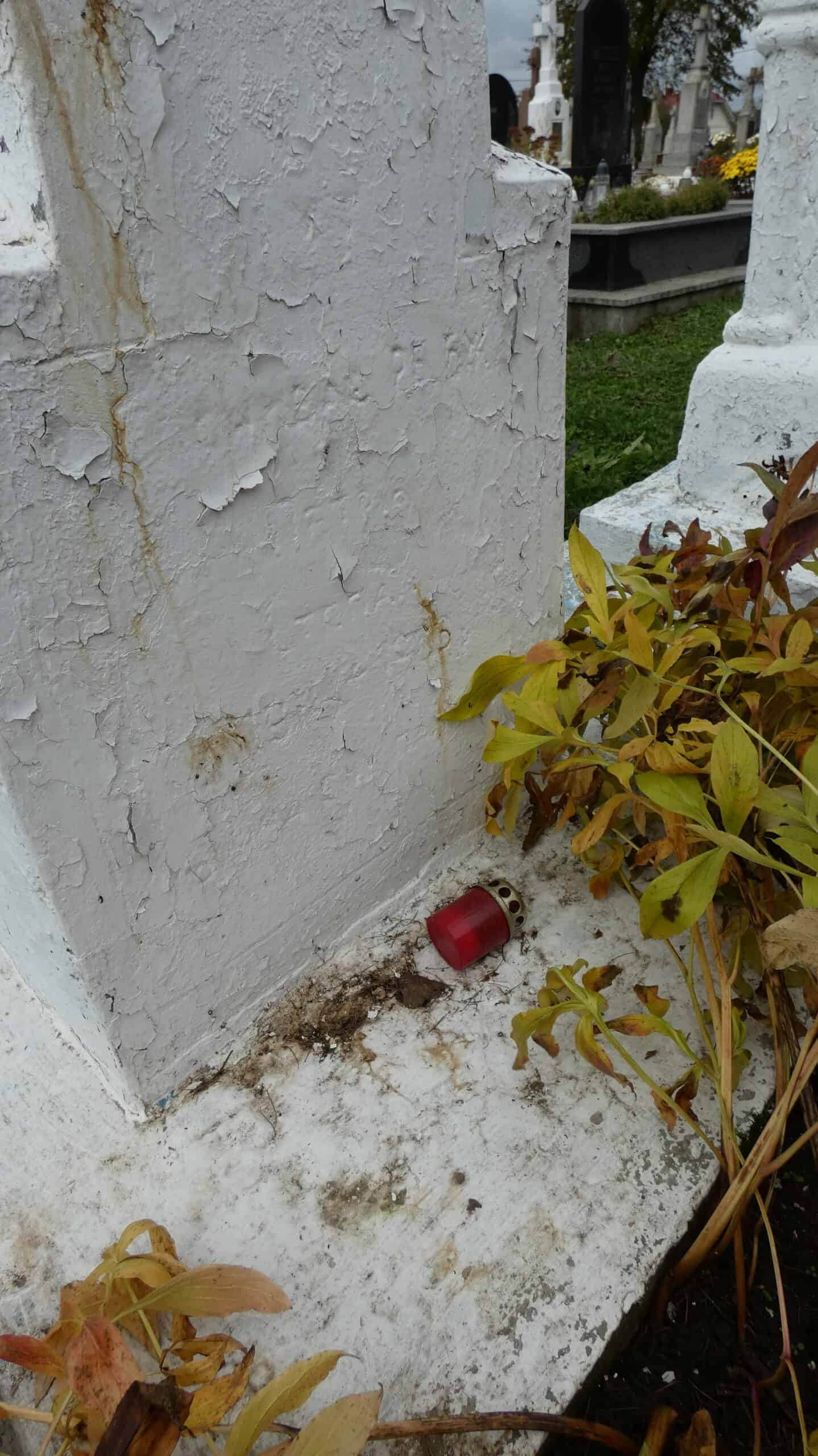Берегова меморіальна частина цвинтаря з пошкодженою фарбою та лампочкою.